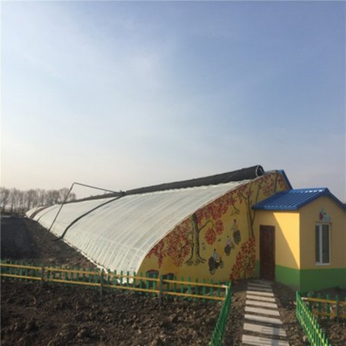 廠家直銷 日光溫室大棚 日光溫室大棚建設 日光溫室特點