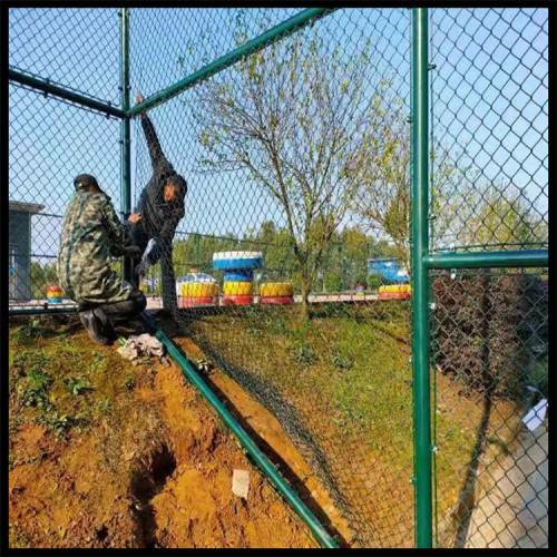 體育場地圍網(wǎng)生產(chǎn)廠家 場地圍網(wǎng)報(bào)價(jià)