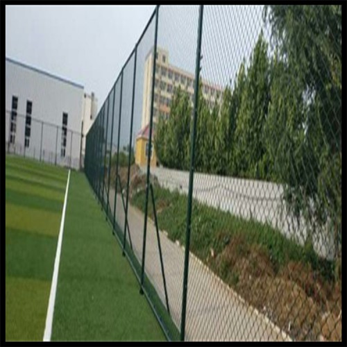 阿拉善球場(chǎng)場(chǎng)地圍網(wǎng)  學(xué)校球場(chǎng)圍網(wǎng)