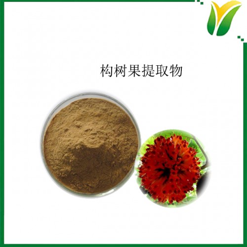 構樹果提取物10：1 植物提取物 楮實子提取物