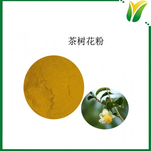 茶樹花粉 植物提取物 茶樹花生粉100目