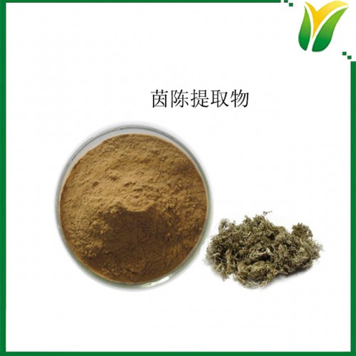 植物提取物 茵陳提取物5:1 牛至提取粉