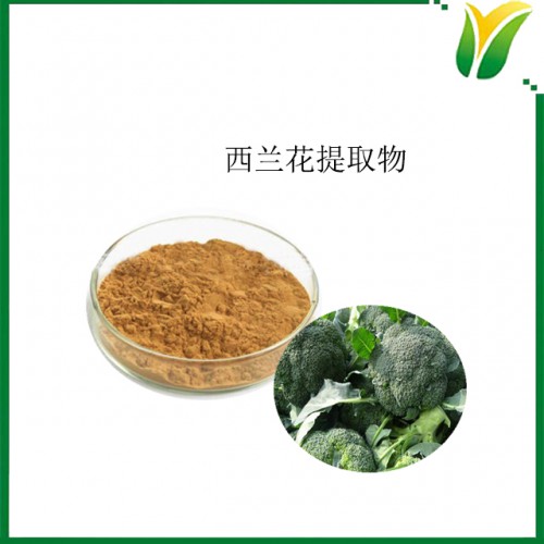 西蘭花提取物10：1 青花菜提取物 植物提取物