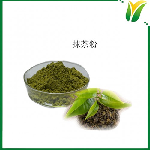 抹茶粉 Tea powder 植物提取物 抹茶原粉