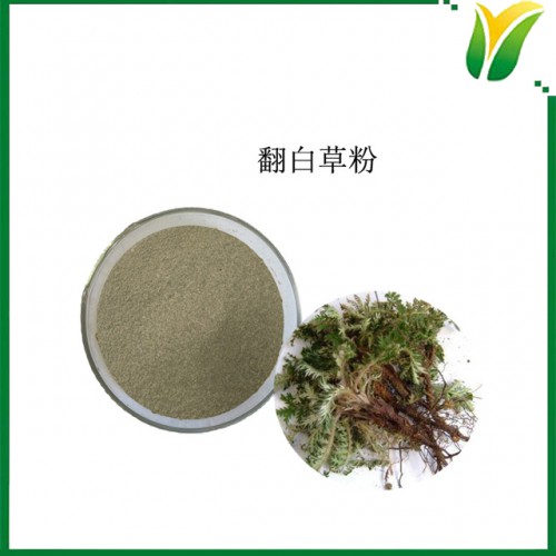 翻白草粉 翻白草生粉 委陵菜粉