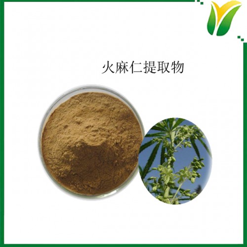 火麻仁提取物5：1 植物提取物