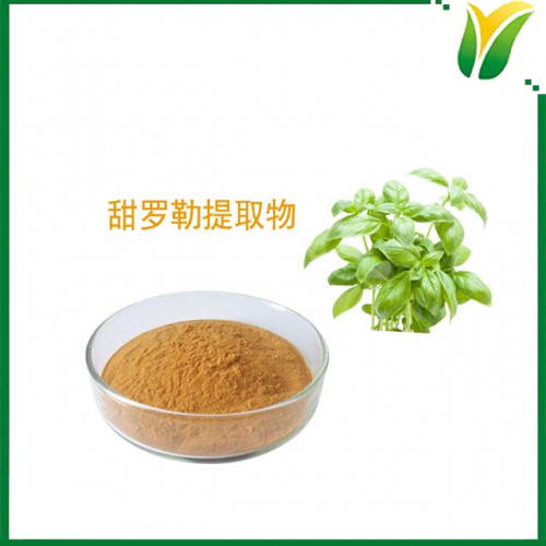 甜羅勒提取物 甜羅勒水提物 植物提取物5:1
