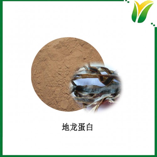 地龍提取物 植物提取物 地龍蛋白粉