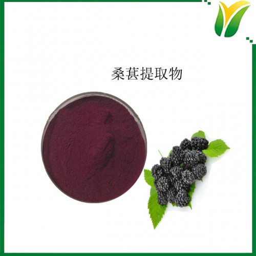 桑葚提取物 多糖30% 植物提取物 桑椹提取物
