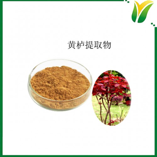 黃櫨提取物10：1 植物提取物