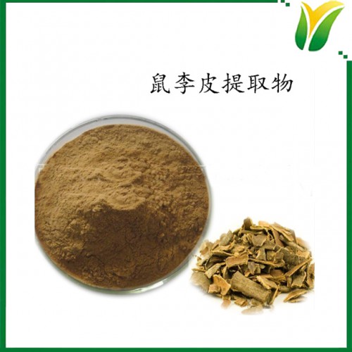 鼠李皮提取物5：1 植物提取物