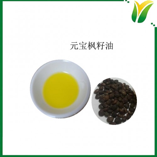 元寶楓籽油 6% 神經酸 元寶楓籽提取物