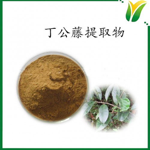 丁公藤提取物10：1  植物提取物