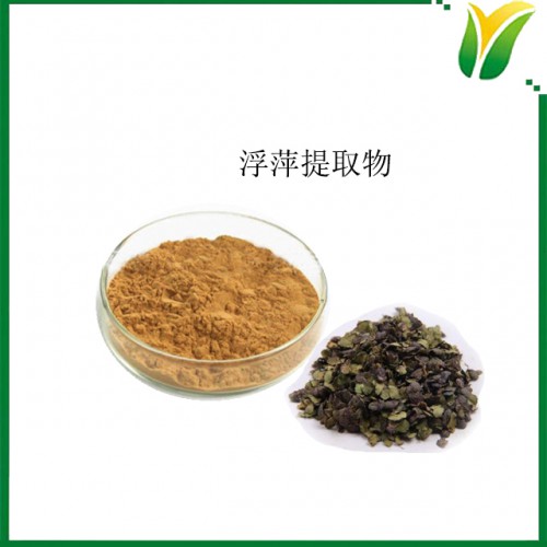 植物提取物 浮萍提取物5：1 青萍比例提取物