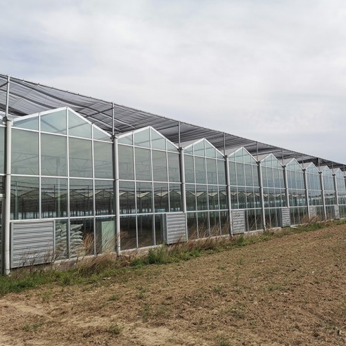 精良的連棟溫室大棚工程 連棟溫室廠家 新型連棟溫室骨架設計