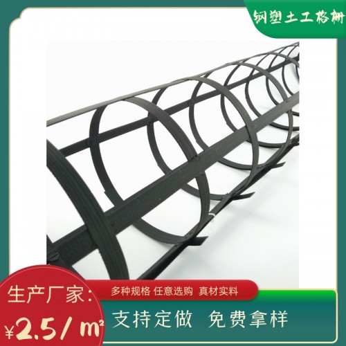 鋼塑土工格柵