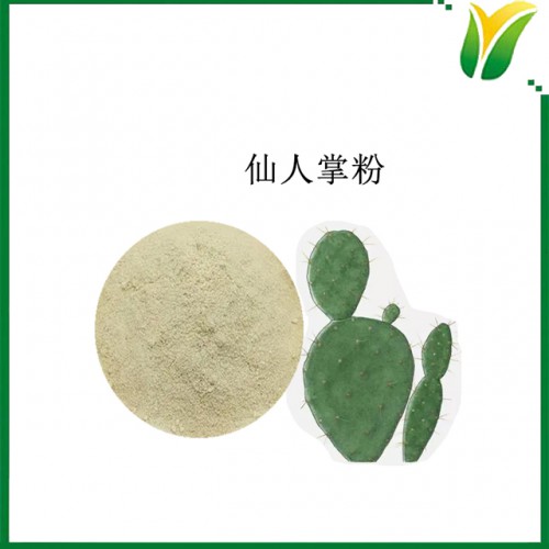仙人掌粉 仙人掌生粉 植物提取物