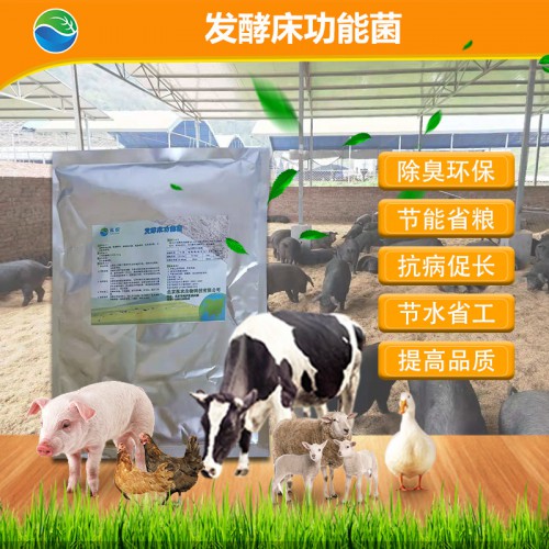 發酵床菌種