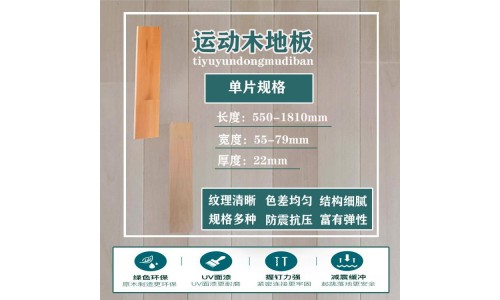 運動木地板 (30)