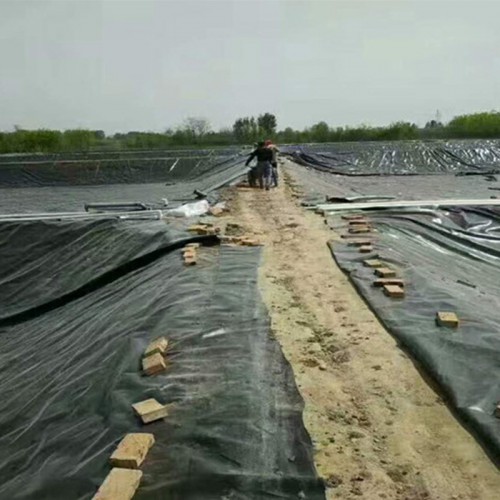 防滲土工膜、防滲土工布、魚塘防滲膜公司廠家直供價格優惠