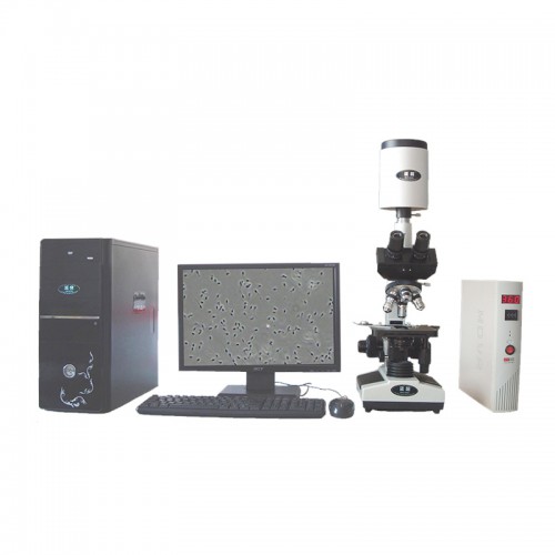 精子質量影像系統