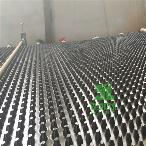 山東車庫蓄排水板 蓄水板生產(chǎn) 疏水板廠家