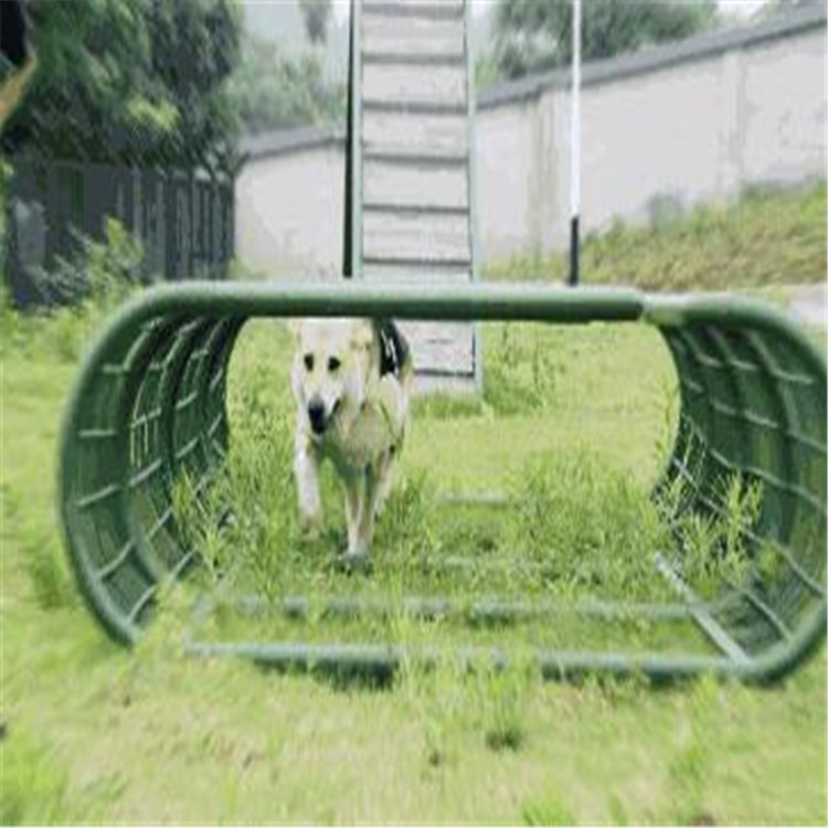 警犬障礙器材 搜救犬器械 工作犬器材生產(chǎn)廠家