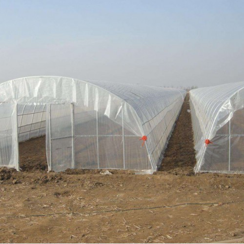 建花卉塑料大棚 500平養(yǎng)豬大棚造價 鋼管冷棚建設(shè)