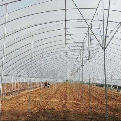 兔子養殖大棚建造 鴨棚 育雞苗溫室建設 江蘇溫室大棚材料廠