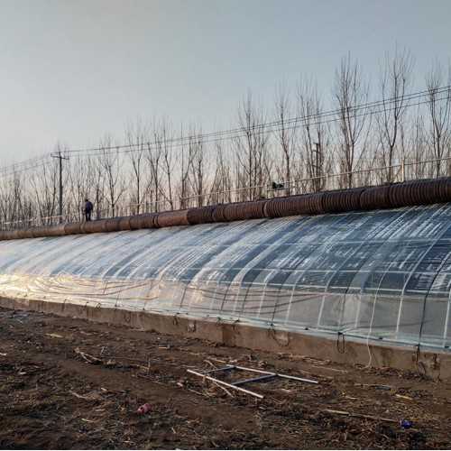 搭建大棚材料 種植食用菌大棚 無后墻式蔬菜大棚