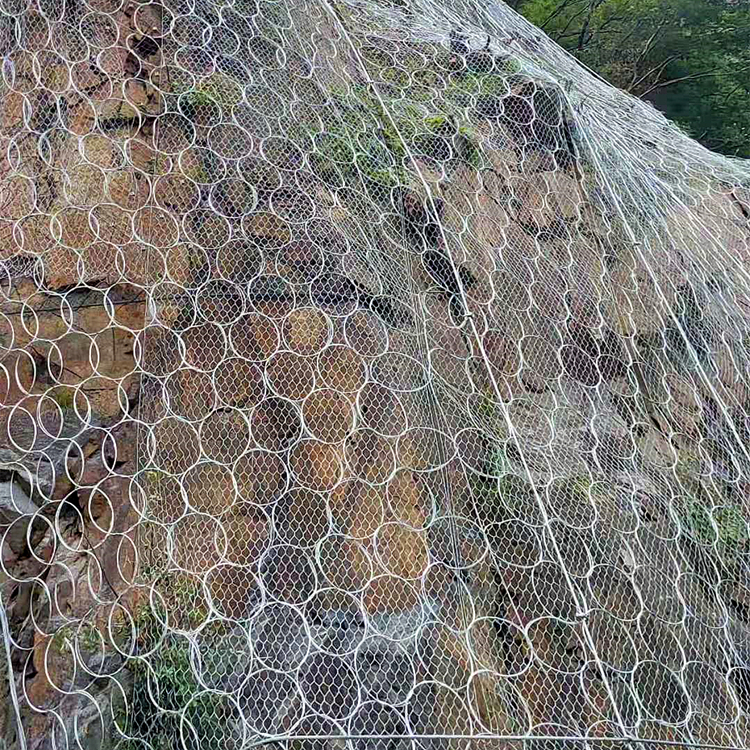 引導式防護網、_副本11