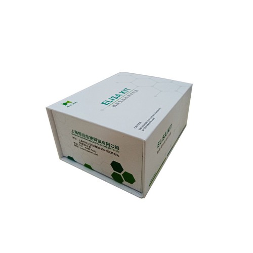 大鼠轉化生長因子β（TGF-β）ELISA試劑盒