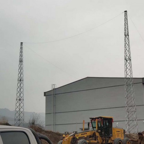 安徽陽新30米避雷針?biāo)r(jià)格 質(zhì)優(yōu)價(jià)廉可定制