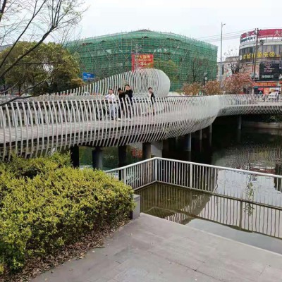 網(wǎng)紅橋護(hù)欄