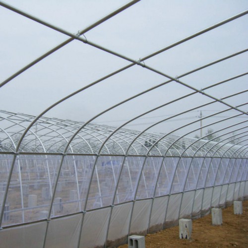 大棚包工包料建造 簡易大棚一畝地造價 草莓大棚鋼管