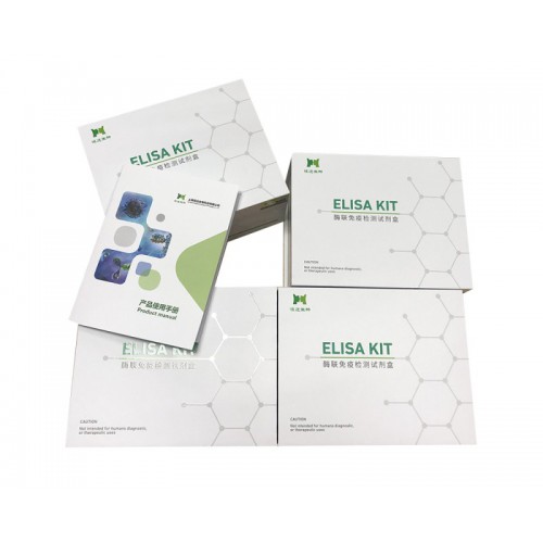 大鼠組胺(HIS)ELISA試劑盒