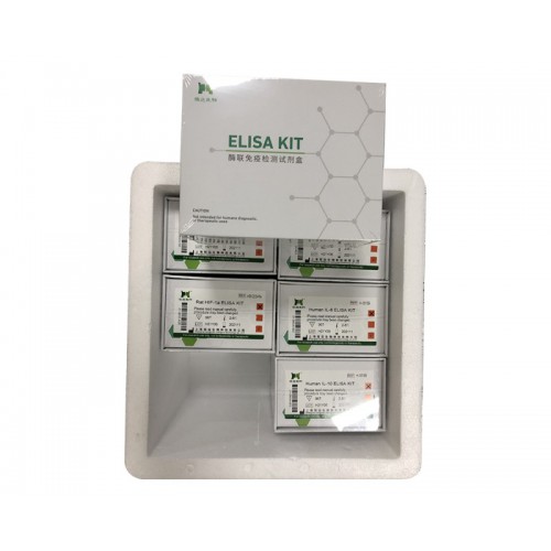 大鼠中性粒細胞趨化因子(CNCs）ELISA試劑盒