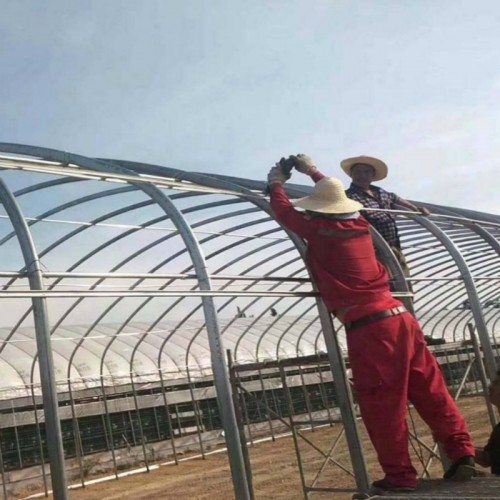 建養殖大棚 現代化養雞大棚建造 2畝大棚造價