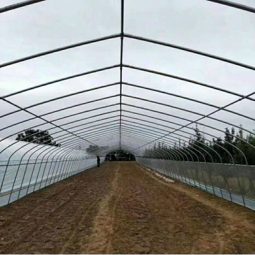 5萬平方大棚 養蝦大棚造價 鍍鋅大棚鋼管 北方大棚