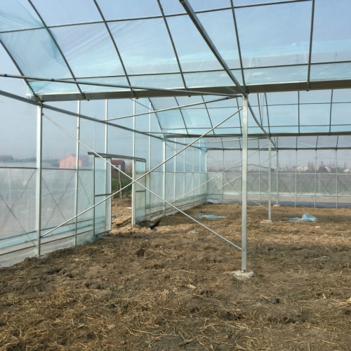 簡易連棟大棚造價 農業大棚搭建 連棟鋼架大棚建設