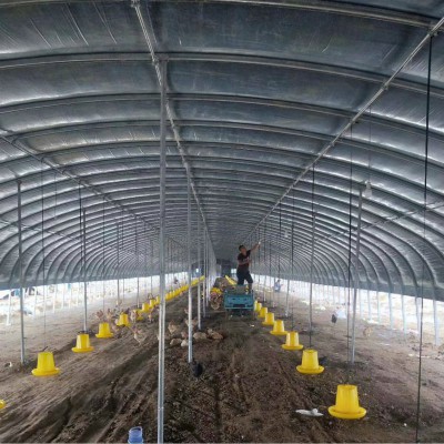 現代化肉雞養殖大棚 簡易養牛大棚搭建 大棚豬舍建造
