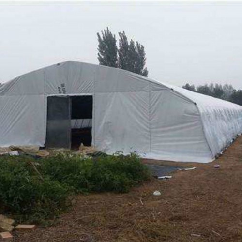 養殖大棚造價鴿子大棚 簡易大棚建造 養殖雞棚