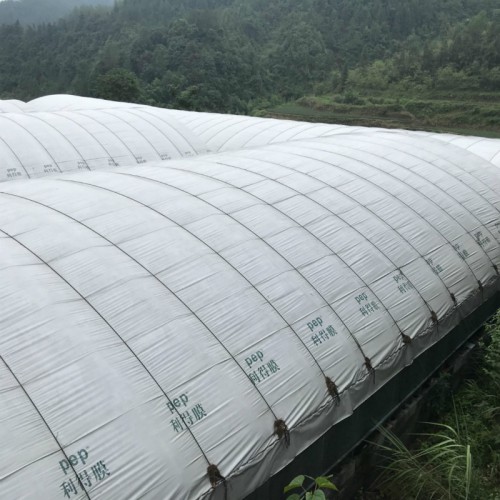 做蔬菜大棚 香菇大棚建造材料 種植蘑菇大棚投資