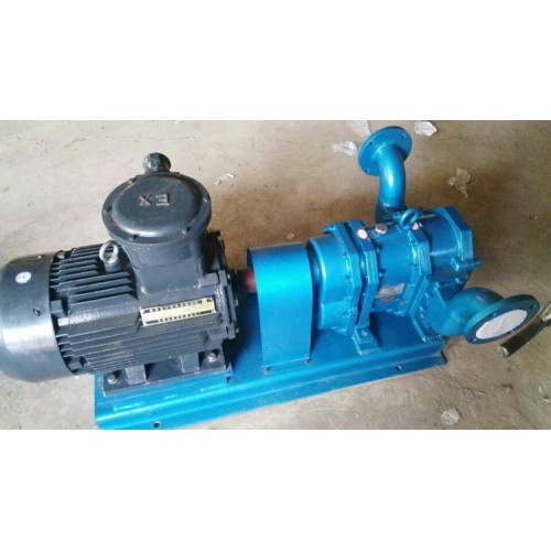 高自吸WZB無堵塞轉(zhuǎn)子泵污泥泵廠家直銷