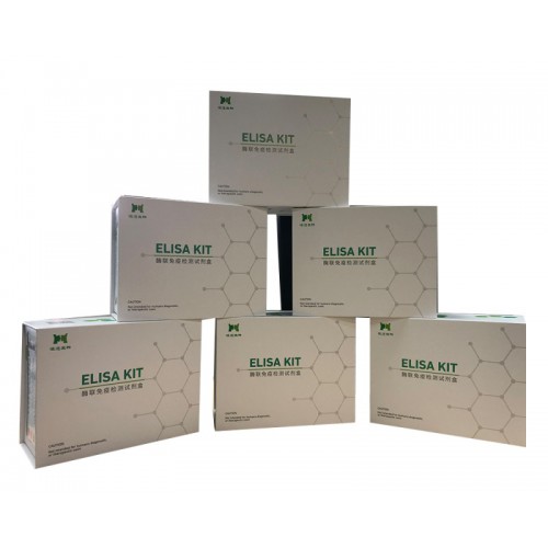 小鼠維生素K2(VK2)ELISA試劑盒