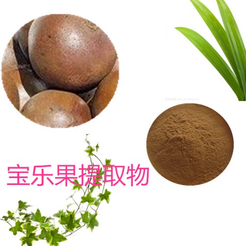 寶樂果提取物 水提 10:1 寶樂果粉 水溶 寶樂果浸膏