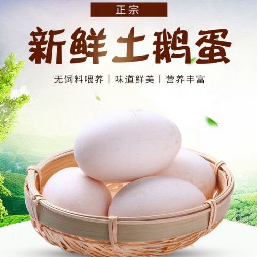 生鵝蛋 鵝蛋價格 散養(yǎng)鵝蛋 鵝蛋蛋 土鵝蛋 新鮮鵝蛋