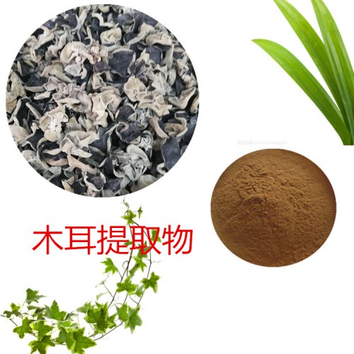 黑木耳提取物 水提 10:1 黑木耳粉 水溶 黑木耳浸膏