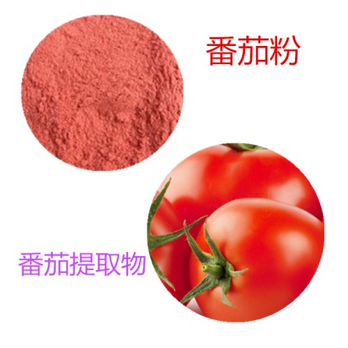 番茄提取物 水提 10:1 番茄浸膏 番茄速溶粉