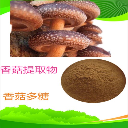香菇多糖 30% 50%  香菇提取液 10:1  20：1